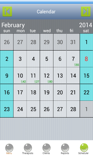 Massage Scheduling Software Screenshot 3