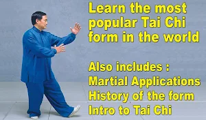 Tai Chi 24 & 48 English Spanis Screenshot 0