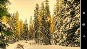 Winter Landscape Wallpapers Screenshot 2