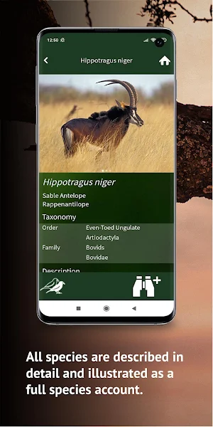 Golden Safari Guide Screenshot 3