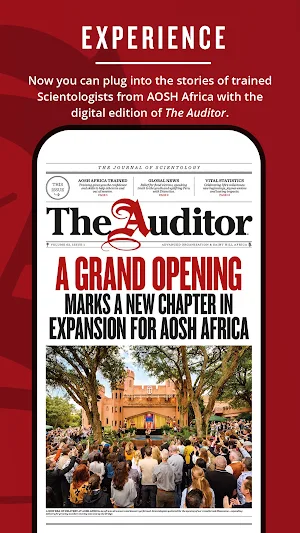 Auditor Africa Screenshot 1