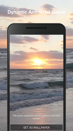 Real Beach Live Wallpaper Screenshot 1