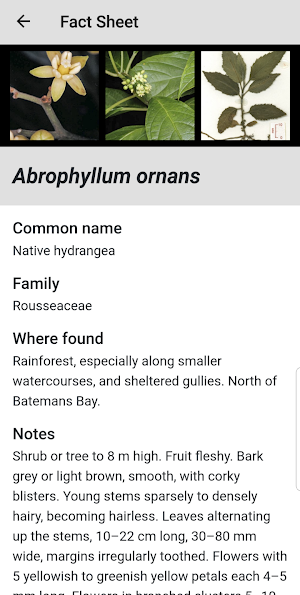 Plants of South Eastern New South Wales Screenshot 3