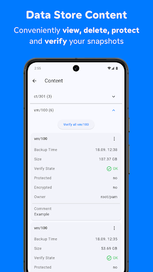 ProxMate Backup for Proxmox Screenshot 2