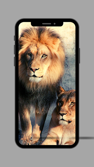 Lion Ringtone Screenshot 2