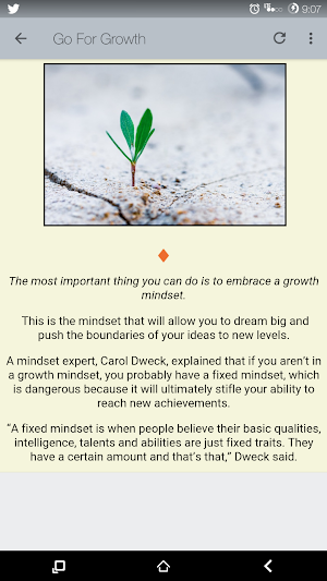 Success Mindset Screenshot 1