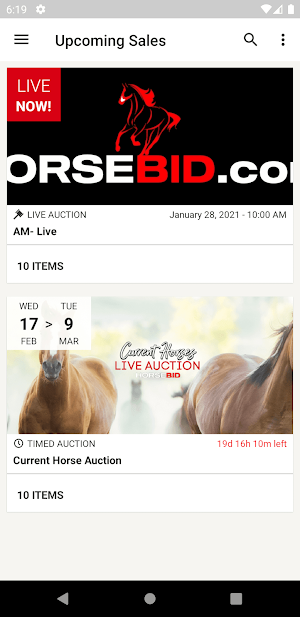 HorseBid Screenshot 0