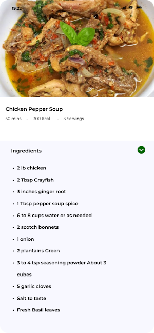 AllSpicy: African Food Recipes Screenshot 3