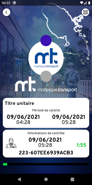MT Ticket Screenshot 3