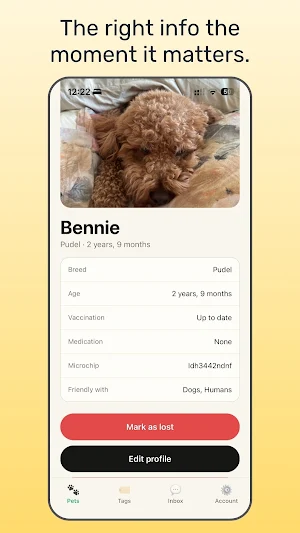 Pawback Pet Screenshot 1