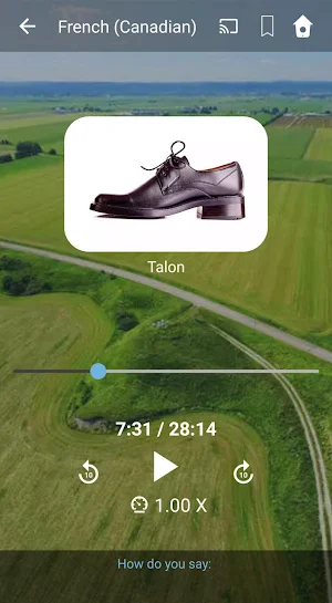 Learn Canadian French. Speak Canadian French. Screenshot 2