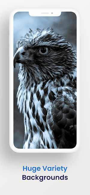 Eagle bird wallpaper HD Screenshot 3