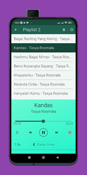 Lagu Camelia Tasya Rosmala Screenshot 3
