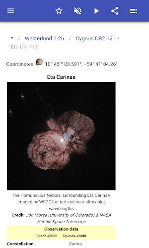 Stars Screenshot 3