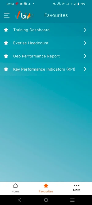 EverBI Screenshot 2