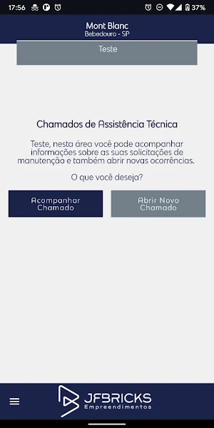 JF Bricks Assistência Técnica Screenshot 2