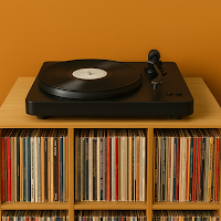 Shelfify - Vinyl Organizer
