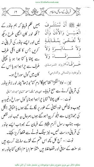 قربانی کے احکام و مسائل Screenshot 3