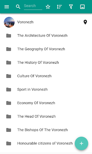 Voronezh Screenshot 0
