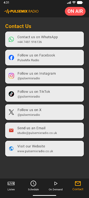 PulseMix Radio Screenshot 3