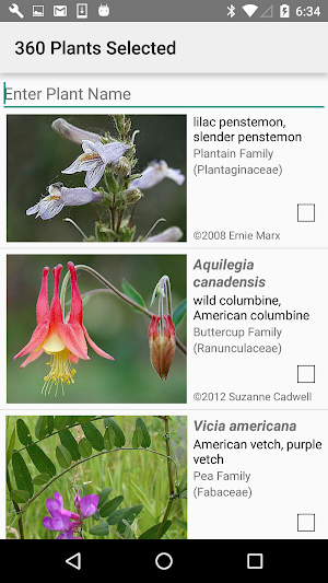 South Dakota Wildflowers Screenshot 2