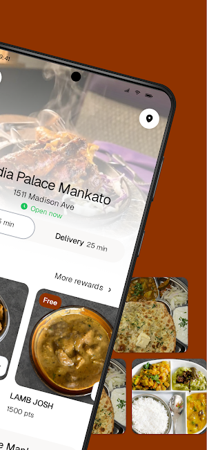 India Palace Mankato Screenshot 1