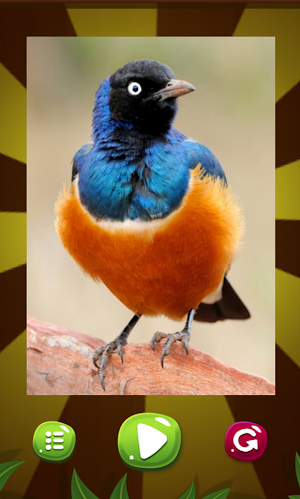 Sliding logic Puzzle: Animals Screenshot 2