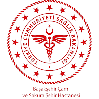 Başakşehir Çam ve Sakura Şehir