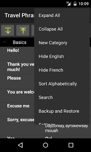Travel Phrases - French Lite Screenshot 2
