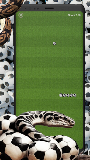 PSK Screenshot 1
