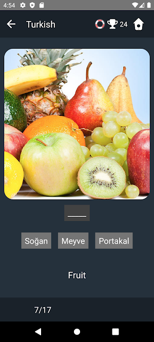 Turkish Language Tests Screenshot 3