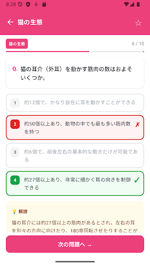 Cat Quiz Beginner Exam JP Screenshot 0