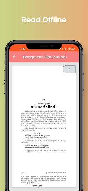 Bhagavad Gita In Punjabi Screenshot 2