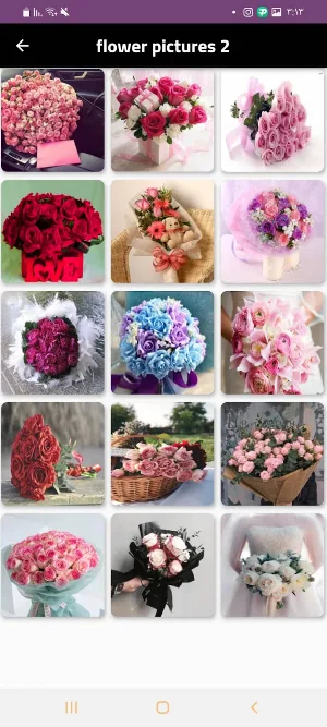 flower _ flower picture Screenshot 1