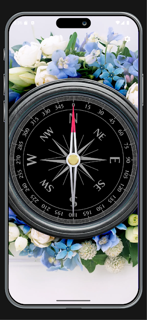 Real Compass Screenshot 3