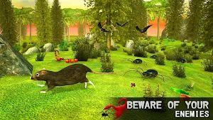 Mouse Simulator : Virtual Wild Life 2020 Screenshot 1