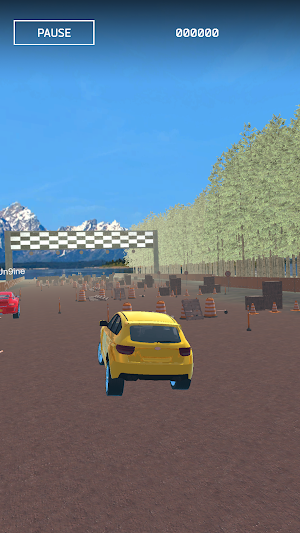 Race MAD! Screenshot 2