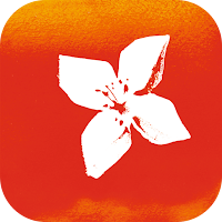 BPI - Empresas