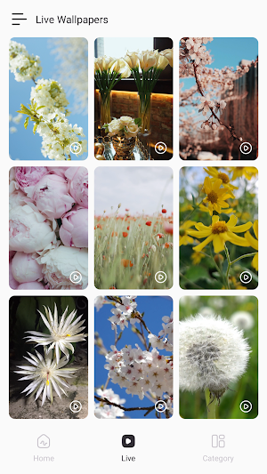 Lively Lock Screen Wallpapers Screenshot 1