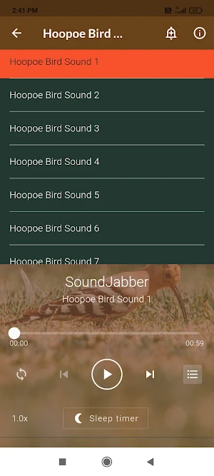Hoopoe Bird Sounds Screenshot 2