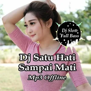 Dj Satu Hati Sampai Mati Offline Screenshot 0