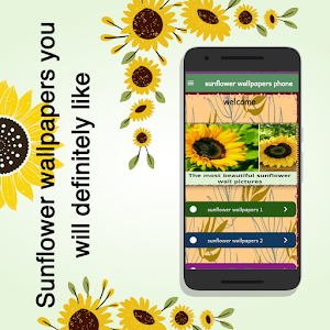 sunflower wallpapers phone Screenshot 0
