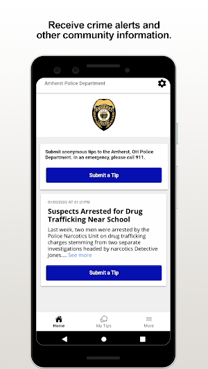 Amherst PD Screenshot 0