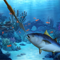 Spear Fishing