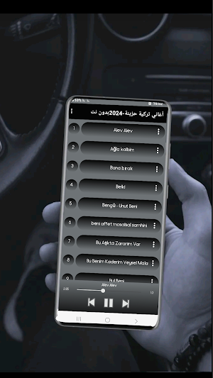أغاني تركية حزينة-2024بدون نت Screenshot 1
