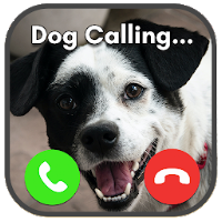 Fake Call Prank- Animals