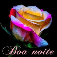 Boa noite Imagens
