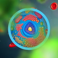 Spores and Colonies