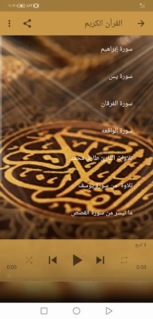 القران الكريم بصوت طارق محمد بدون نت جودة عالية Screenshot 2