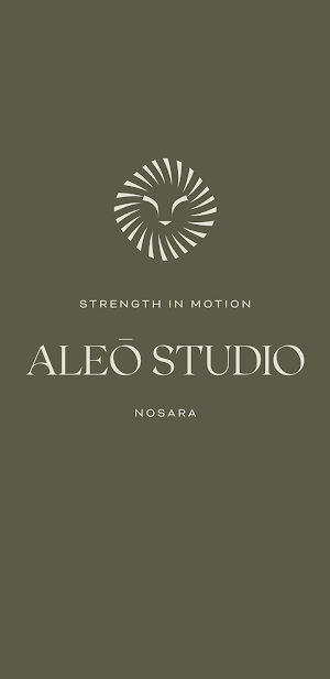 Aleo Studio Screenshot 0